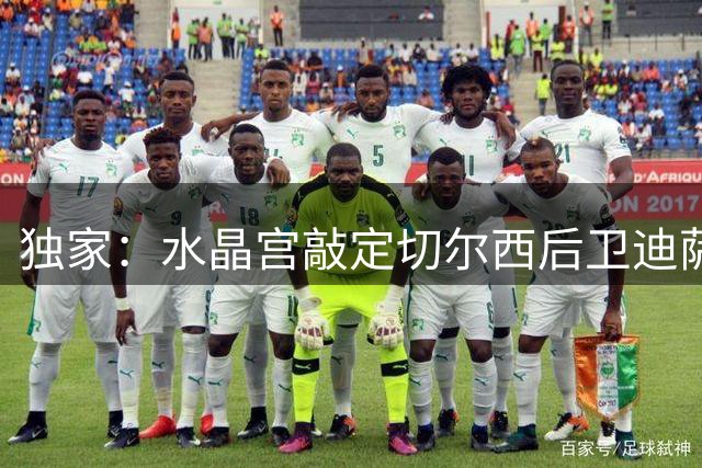 独家：水晶宫敲定切尔西后卫迪萨西租借 无永久转会条款